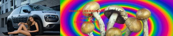 спайс Богданович